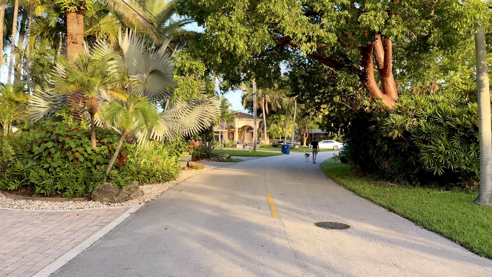 Calle residencial tranquila en Wilton Manors