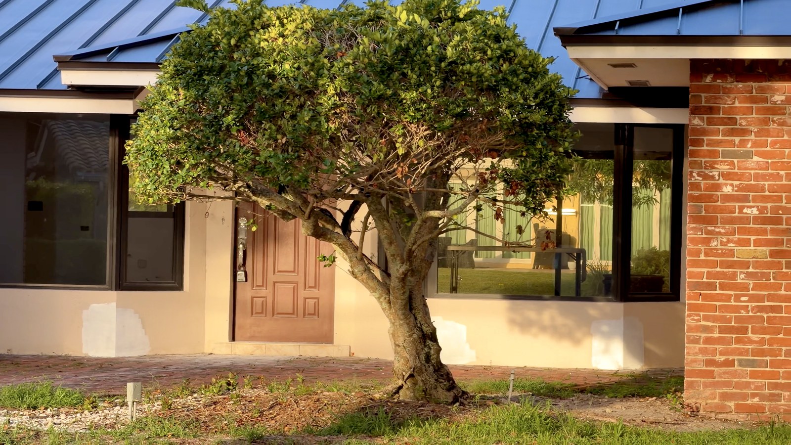 Fachada de ladrillo y árbol maduro en una casa de Wilton Manors