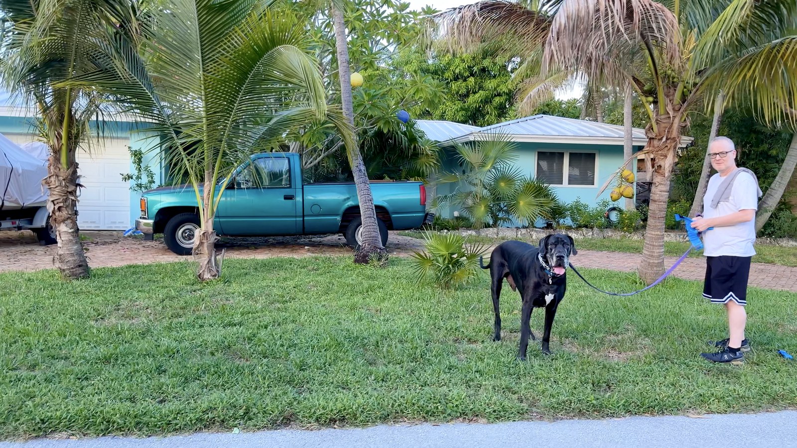 Un vecino y su perro durante la caminata