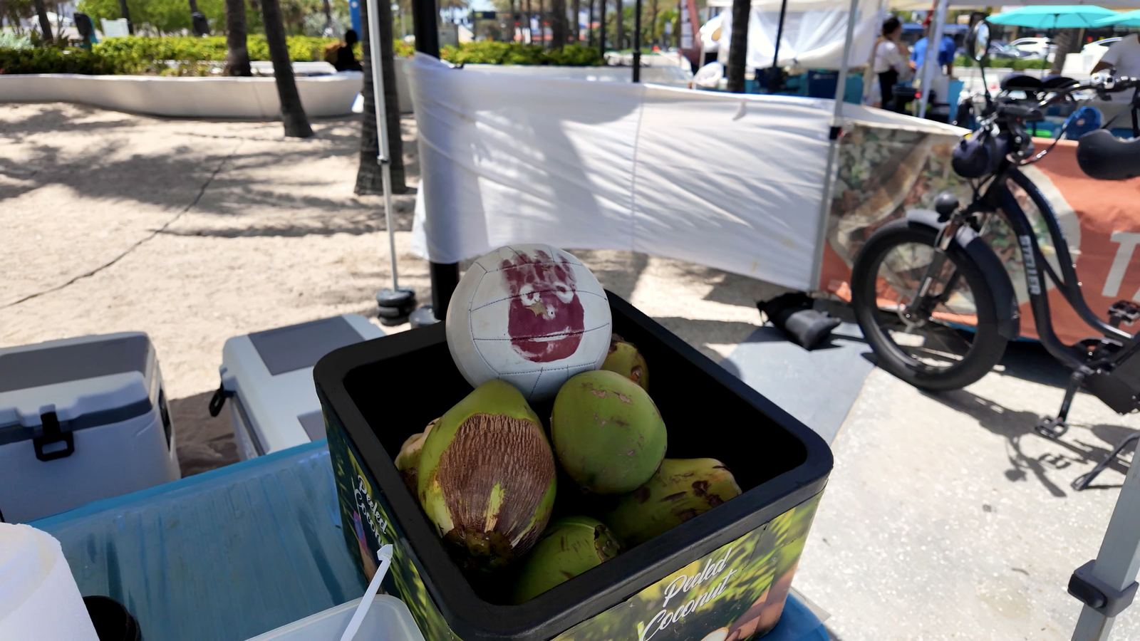 Cocos frescos en un puesto de Fort Lauderdale Beach