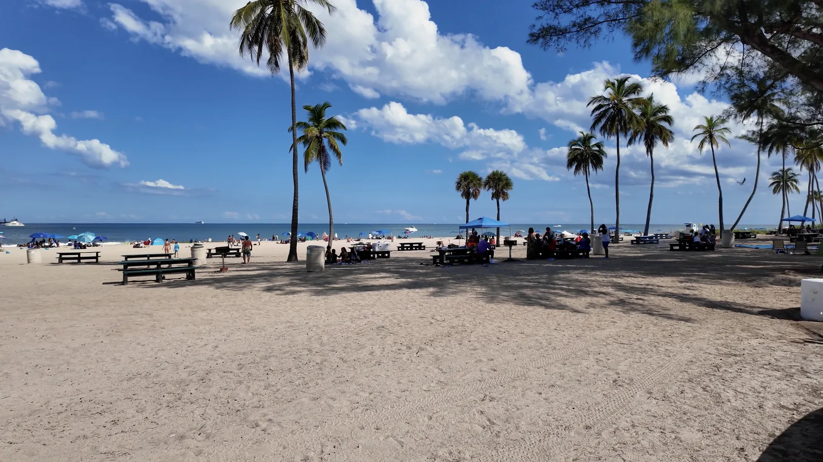 Mesas, parrillas y reuniones en Fort Lauderdale Beach Park — captura 1 del recorrido de Ricardo