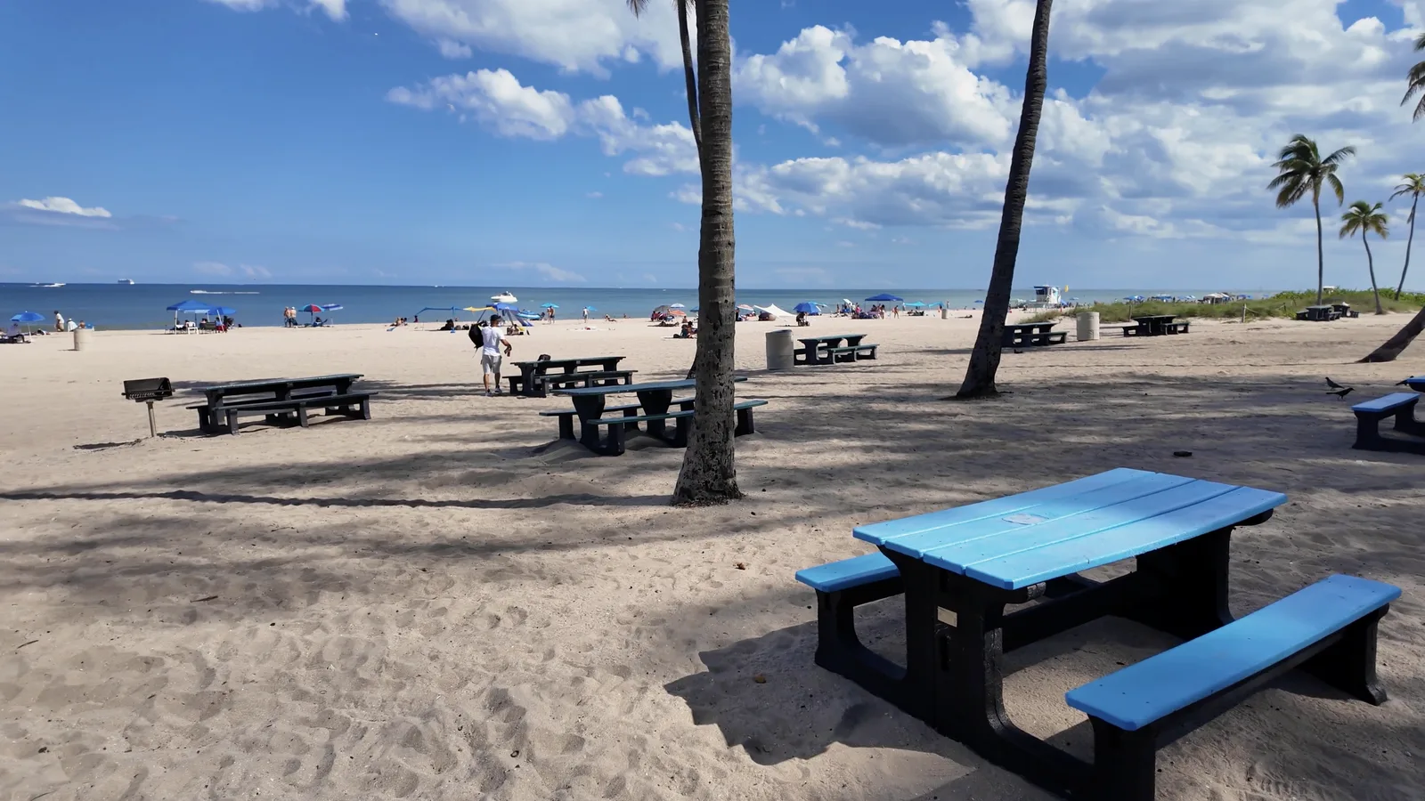 Mesas, parrillas y reuniones en Fort Lauderdale Beach Park — captura 5 del recorrido de Ricardo