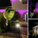 Collage de casas iluminadas de Wilton Manors: oso verde, fachada rosa y vivienda blanca