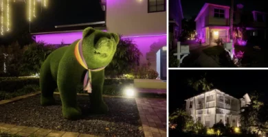 Collage de casas iluminadas de Wilton Manors: oso verde, fachada rosa y vivienda blanca