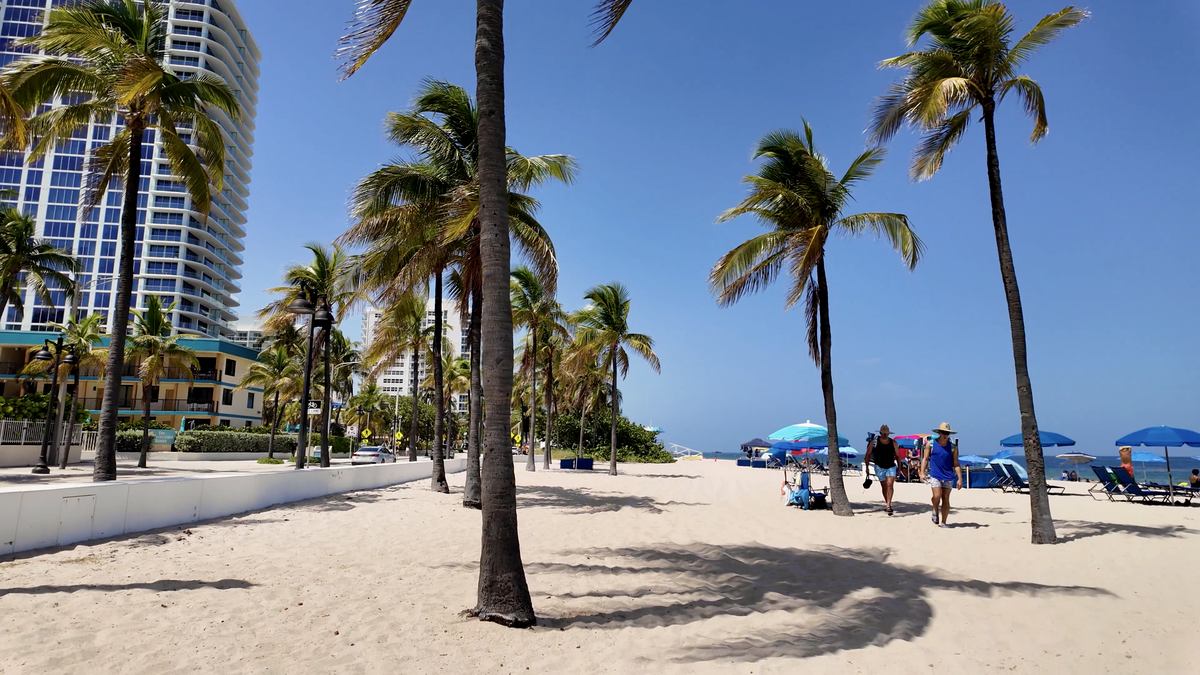 Palmeras y arena en Sebastian Beach