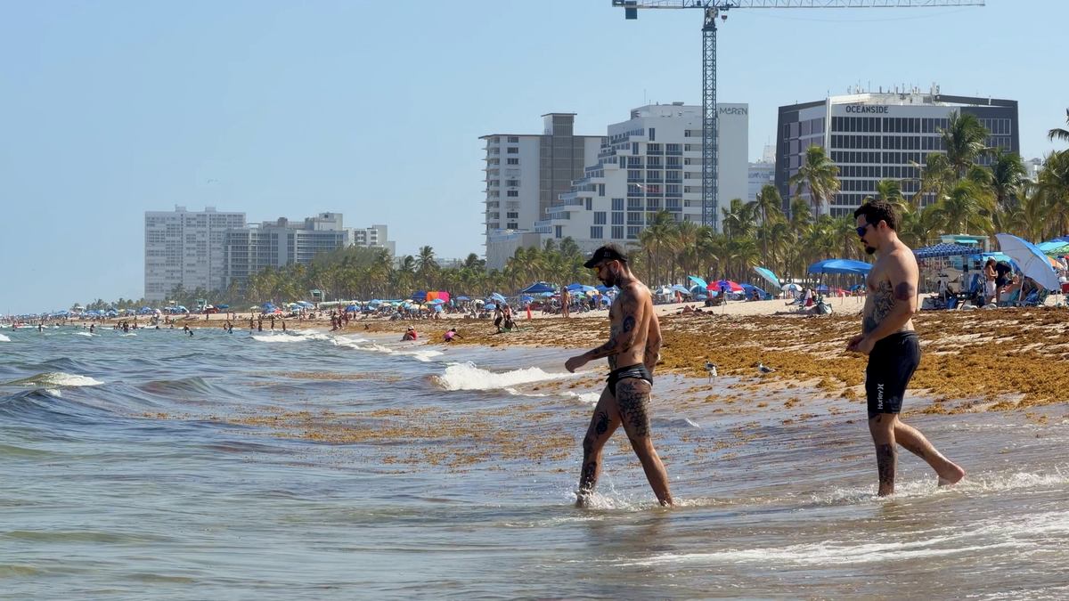 Personas bañándose en el mar de Sebastian Beach