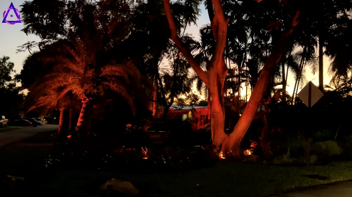 Árboles iluminados en un barrio residencial