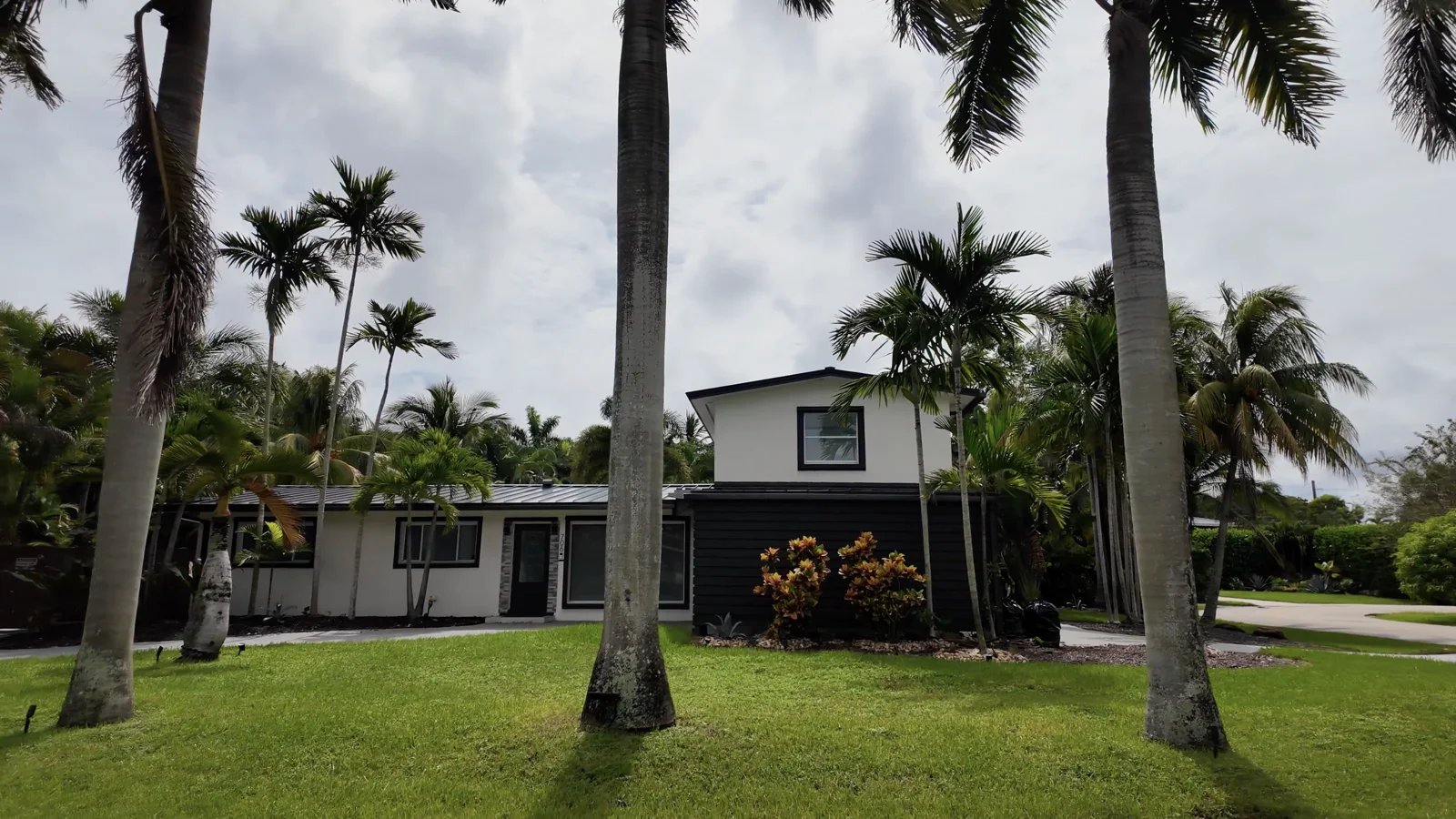Casa entre palmeras altas
