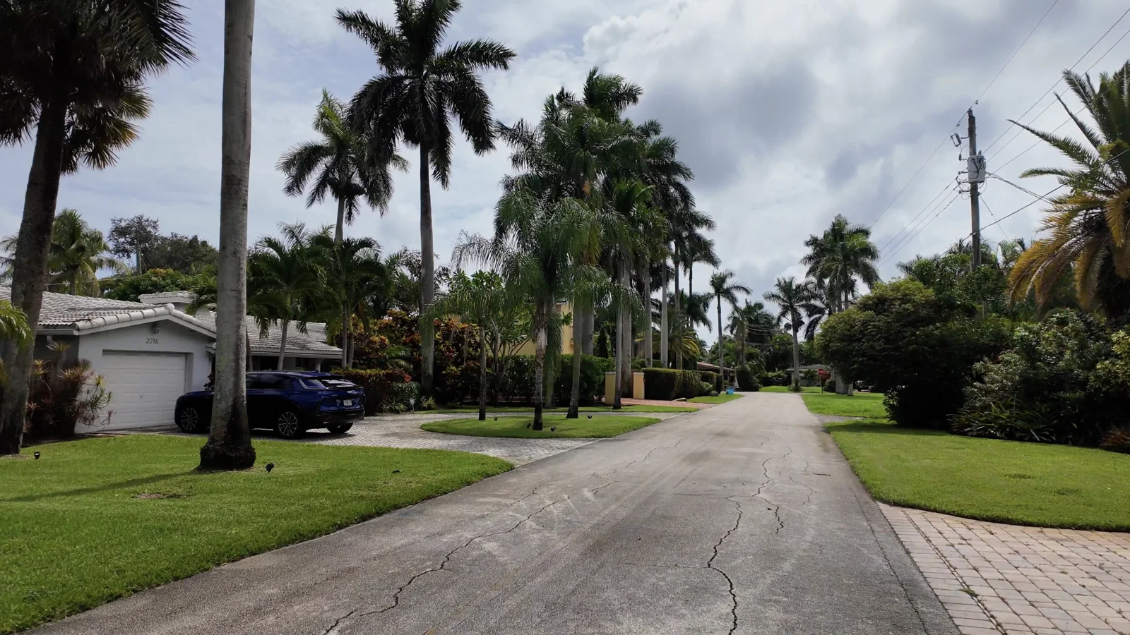 Calle residencial entre jardines y palmeras