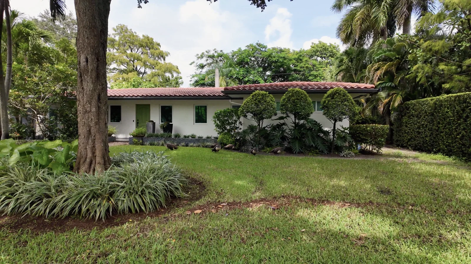 Jardín tropical frente a una casa de una planta